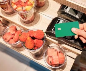 តម្រូវការ Palladium និង Platinum: និន្នាការប្រៀបធៀបសំខាន់ៗ